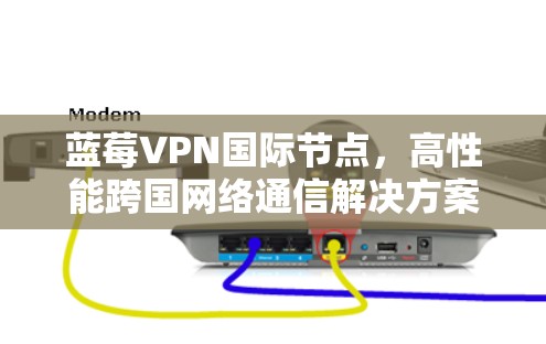 蓝莓VPN国际节点，高性能跨国网络通信解决方案