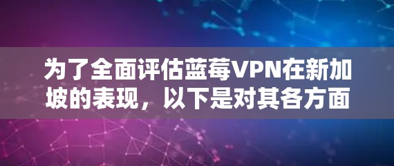为了全面评估蓝莓VPN在新加坡的表现，以下是对其各方面的详细分析