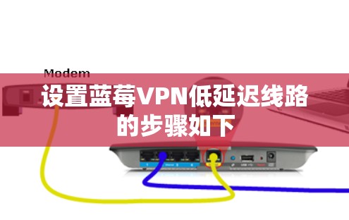设置蓝莓VPN低延迟线路的步骤如下