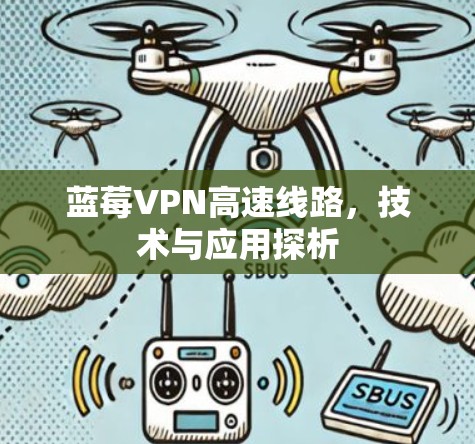 蓝莓VPN高速线路，技术与应用探析