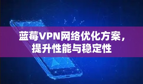蓝莓VPN网络优化方案，提升性能与稳定性