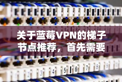 关于蓝莓VPN的梯子节点推荐，首先需要明确蓝莓VPN和梯子节点分别是什么。蓝莓VPN可能是指一个VPN服务提供商或平台，而梯子节点通常是指梯子网络（Tor）中的节点