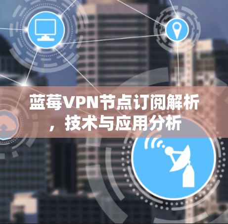 蓝莓VPN节点订阅解析，技术与应用分析