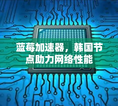 蓝莓加速器，韩国节点助力网络性能