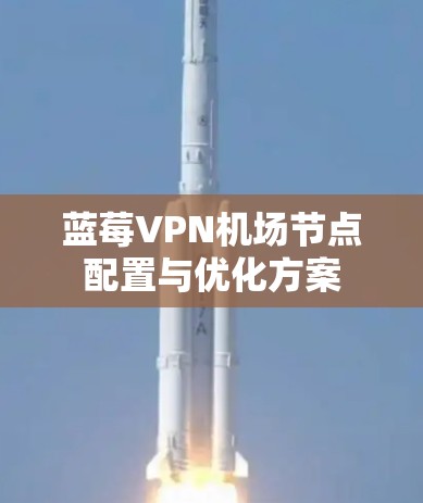 蓝莓VPN机场节点配置与优化方案