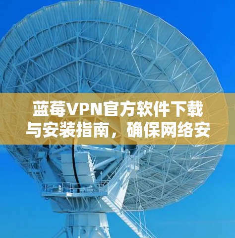 蓝莓VPN官方软件下载与安装指南，确保网络安全