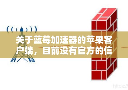 关于蓝莓加速器的苹果客户端，目前没有官方的信息表明蓝莓加速器有专门针对苹果设备的客户端。蓝莓加速器通常用于优化和加速应用的性能，特别是在移动设备上运行。以下是一些可能的解释和建议
