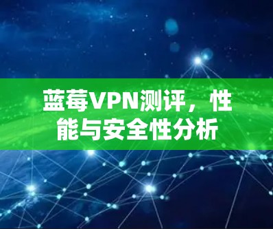 蓝莓VPN测评，性能与安全性分析