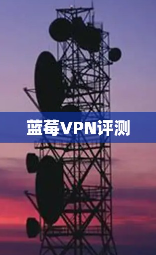蓝莓VPN评测
