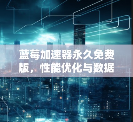 蓝莓加速器永久免费版，性能优化与数据传输效率的全新解决方案