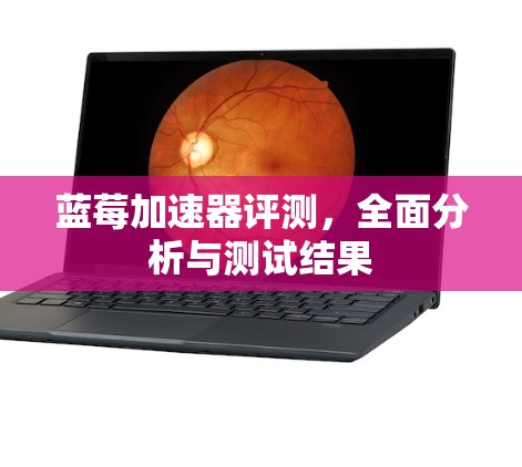 蓝莓加速器评测，全面分析与测试结果