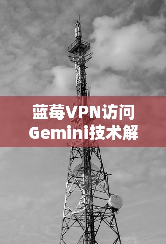 蓝莓VPN访问Gemini技术解析