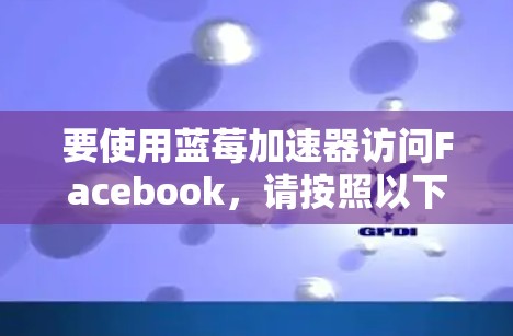 要使用蓝莓加速器访问Facebook，请按照以下步骤操作