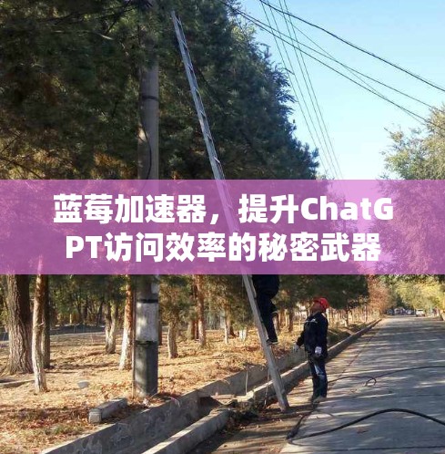 蓝莓加速器，提升ChatGPT访问效率的秘密武器
