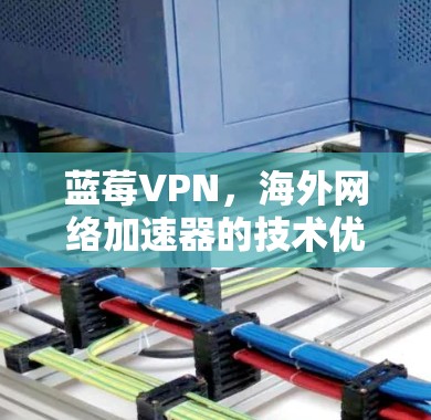 蓝莓VPN，海外网络加速器的技术优势解析
