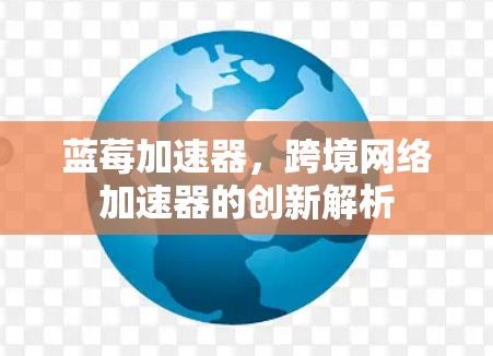 蓝莓加速器，跨境网络加速器的创新解析