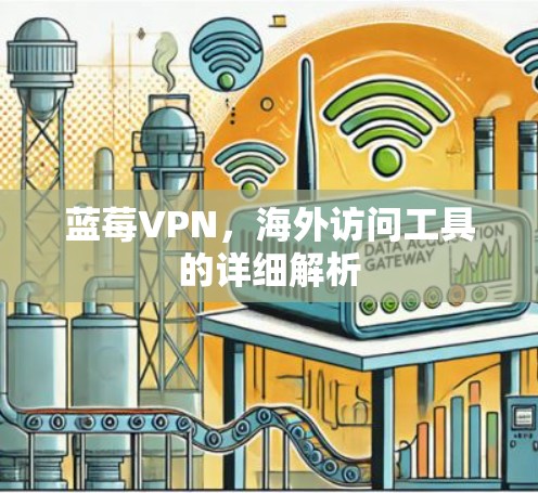 蓝莓VPN，海外访问工具的详细解析