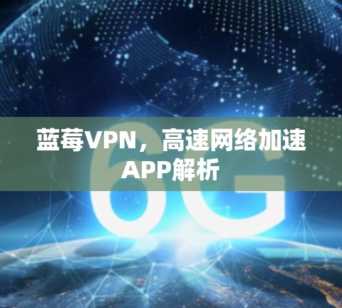 蓝莓VPN，高速网络加速APP解析