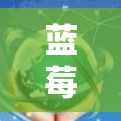 蓝莓加速器跨境办公专用解析