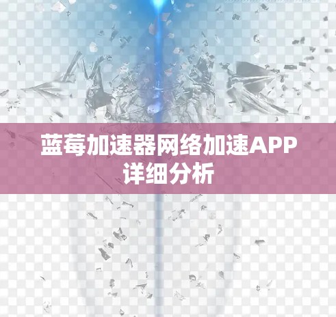 蓝莓加速器网络加速APP详细分析