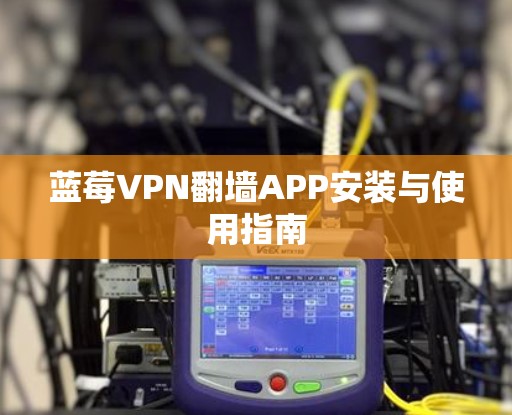 蓝莓VPN翻墙APP安装与使用指南