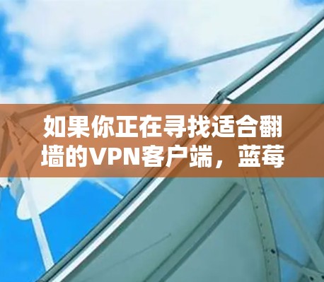 如果你正在寻找适合翻墙的VPN客户端，蓝莓VPN是一个不错的选择。然而，选择合适的翻墙工具需要考虑多个因素，如速度、隐私保护、多平台支持等。以下是一些推荐的翻墙客户端，供你参考