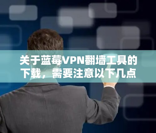 关于蓝莓VPN翻墙工具的下载，需要注意以下几点