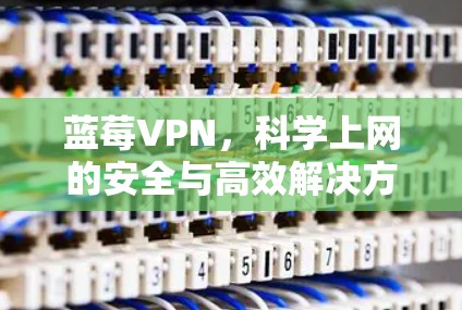 蓝莓VPN，科学上网的安全与高效解决方案