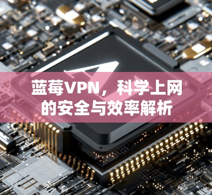 蓝莓VPN，科学上网的安全与效率解析