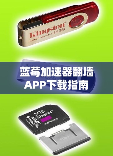 蓝莓加速器翻墙APP下载指南